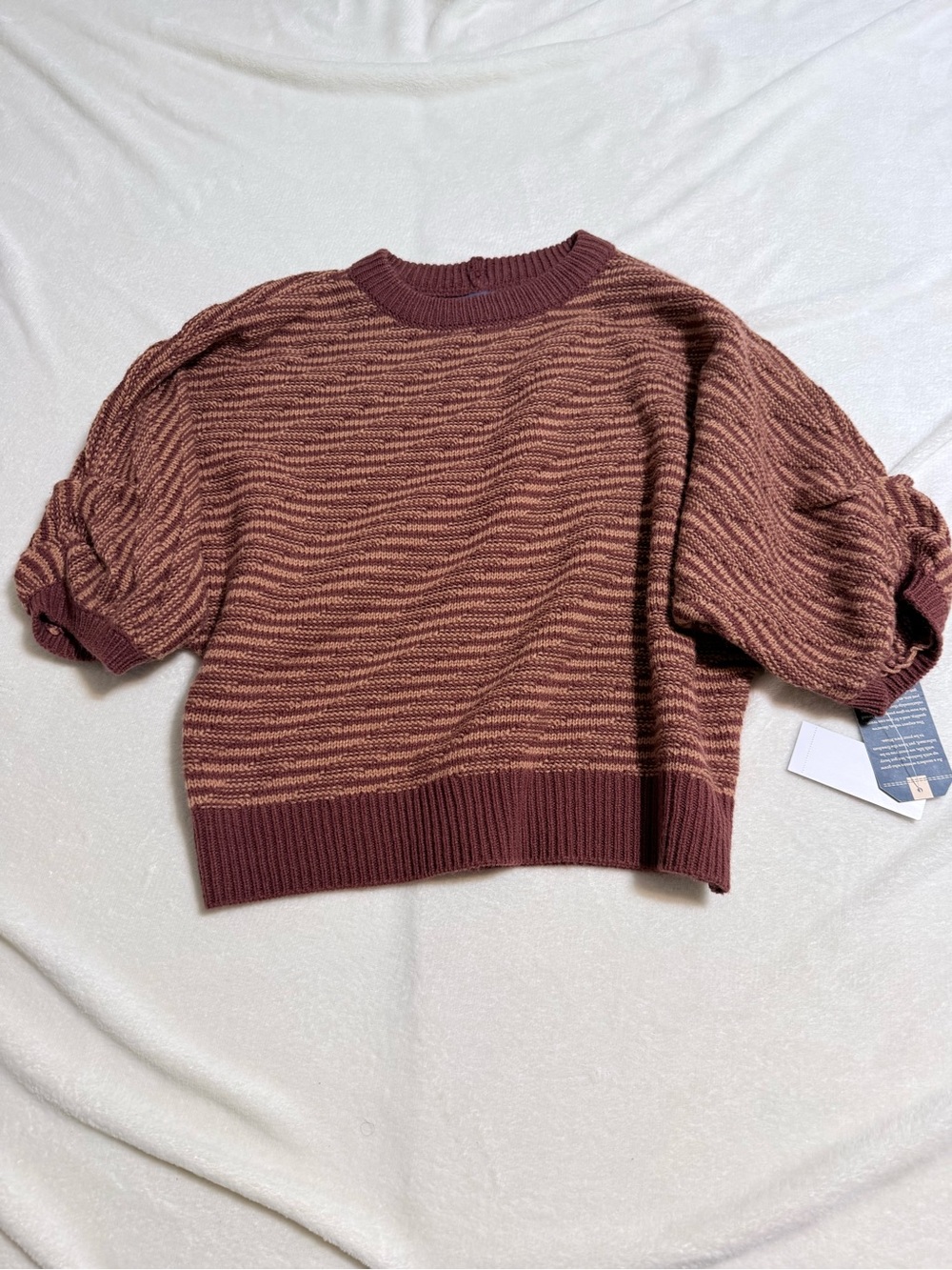Democracy Rust Striped Cropped Crewneck Sweater